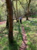 On the pilgrim trail